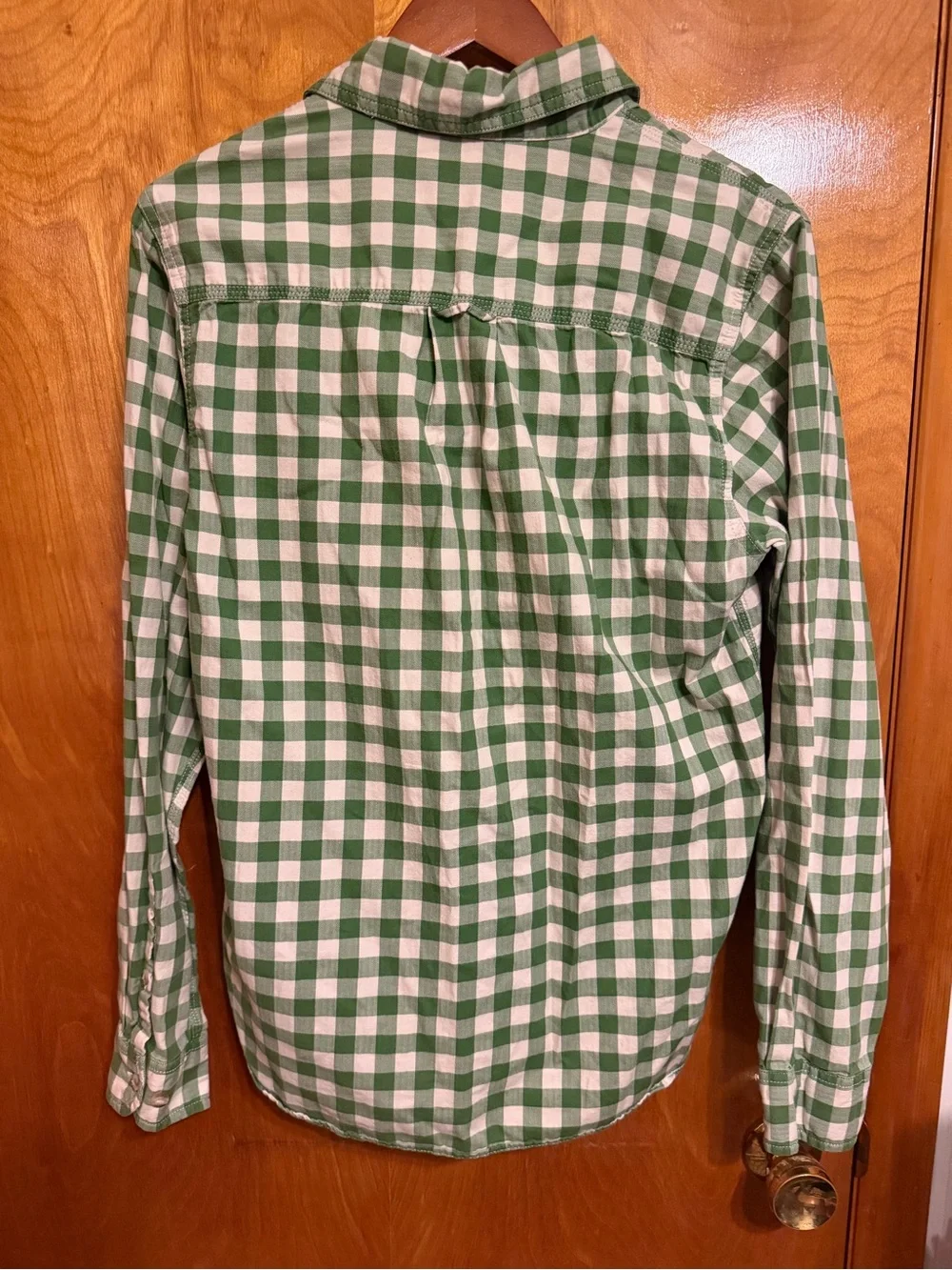 The North Face Green and White Check Button-Down Shirt